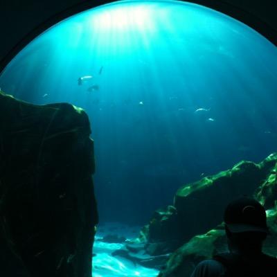 DriveCat's profile picture. What a time to be alive!