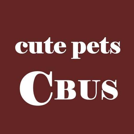 Need a cute fuzzy friend? They need a home.
Inspired by @CutePetsDenver and @CutePetsBmore