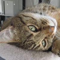 wetwit (@wetwit) 's Twitter Profile