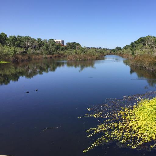 I love the San Diego River and encouraging others to find a connection with nature