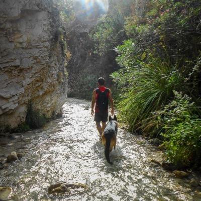 Adse10's profile picture. Con la constancia y la pasión podrás cambiar el mundo. Amante de los animales, la tecnología y de la fotografía.