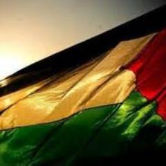 kmasrfa's profile picture. Palestine. That is it. فلسطين و بس