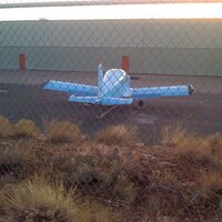 sara olsen (@smolsen) 's Twitter Profile