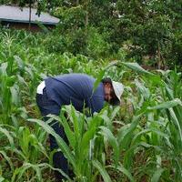 James M Wainaina (@jameswainaina56) 's Twitter Profile