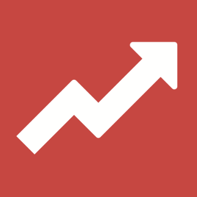 In-depth website reviews that form the basis for redesigns and continuous conversion optimization.
