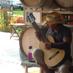 Blues, Booze & Bbqs (@3dogblues) Twitter profile photo Blues, Booze & Bbqs (@3dogblues) Twitter profile photo