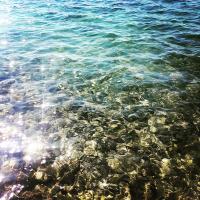 cakıles (@cakiles) Twitter profile photo