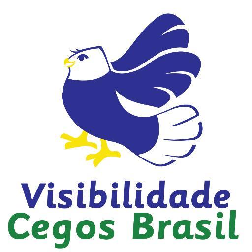 Em busca de uma nova forma da sociedade brasileira enxergar as pessoas com deficiência.