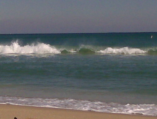 landlord331's profile picture. Real estate investor, landlord, investor, real estate, property manager, wholesaler, homes, land, apartment