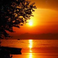 focedeitramonti's profile picture. 
