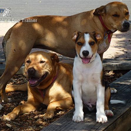 RickyRayg's profile picture. innovations is storage and suppling resources to help people to organise there belongings