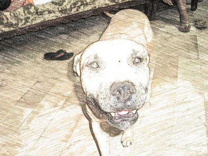 cesarkaryes's profile picture. 