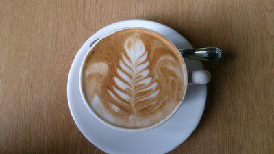 shasharr's profile picture. chemistry iz gud