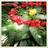Love_8_Yourself's profile image