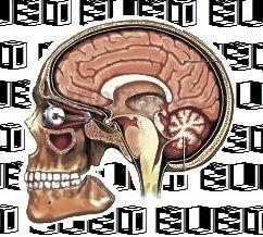 Let's Share 》Arts ~ Phøtøgraphy ~ Fungi - ∆ncientHistory - Musik ~ ☆ UIO • Ecuador Since1987 ☆
¤ SAPIENTIA SPIRALEM ||| VIBRATIONIS et LUX ¤