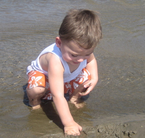 Busy working mama of a 1-year old boy, on the quest for quick, healthy, on-the-go meals for family! Recipes welcome...