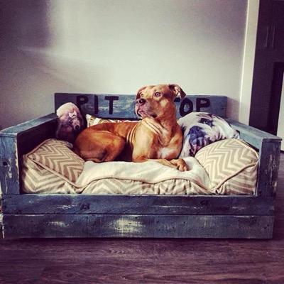 I make custom dog beds and feeders to fit your pets needs. Painted and personalized to what ever you order! please feel free to contact me about orders.