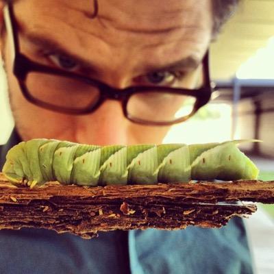 MasterBruso's profile picture. Father, curious creator, educator. I am passionate about living naturally, sharing ideas joyfully, and playing with my world.