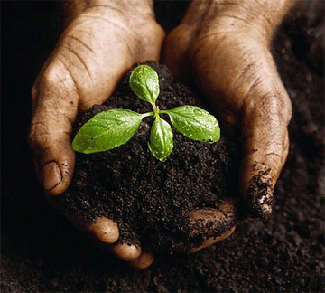 renegadefarmer's profile picture. Online collective of farm enthusiasts! We write, run a radio show and are lovers of old fashioned, green, farmtastic stuff! Join us  won't you?