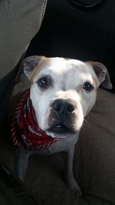 vgoode8425's profile picture. 