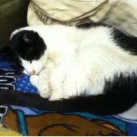 susan gray (@susan1375) 's Twitter Profile Photo susan gray (@susan1375) 's Twitter Profile Photo