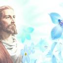 Abigail Shea Greene - @GreeneShea - Twitter