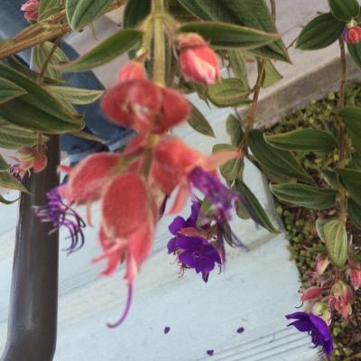 __Helen__Beed__'s profile picture. I love writing, reading, dancing, singing and psychology. Follow me on Wattpad (HelpTheWorld) and read my stories (Gifted, H. O. P. E. and Pass It on)?