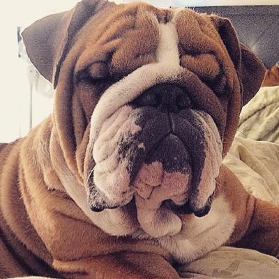 FiTzaYPlays's profile picture. 