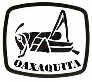 Oaxaquita Profile Picture