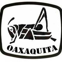 Oaxaquit@ (@oaxaquita) 's Twitter Profile Photo