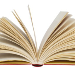 SturryTime's profile picture. 