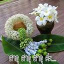 นาย ธากรณ์ อาจดี (@096thakon) Twitter