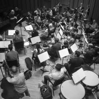 Hollywood Chamber Orchestra(@HCOrchestra) 's Twitter Profile Photo