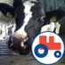 Jonathan Smith (@tullyvernon) Twitter profile photo Jonathan Smith (@tullyvernon) Twitter profile photo