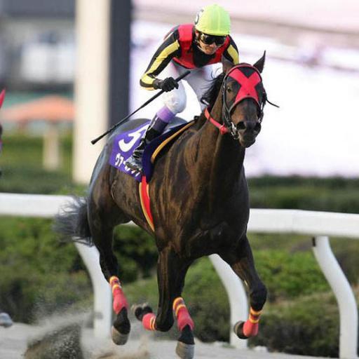 atd_jp's profile picture. 