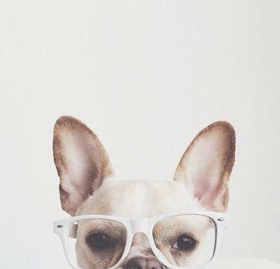 Etcs_'s profile picture. 