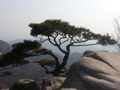 촛불 시위는 거짓선동의 상징이다!
촛불 드는 자는 김정은의 하수인이다!
이 사실을 모르는 자는 좌빨들 말고는 없다!