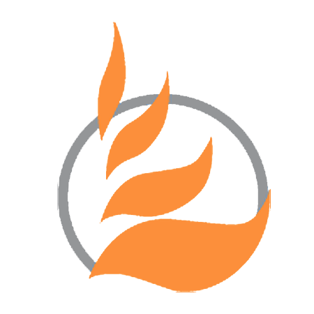 Fusion Profile