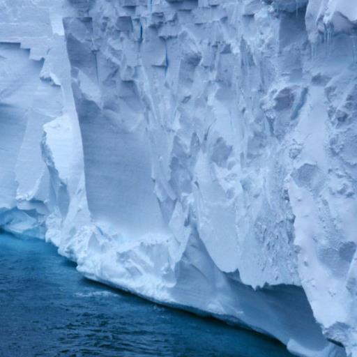 tjrxk7's profile picture. 