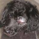 Jay McCormack - @Jay_P_McCormack - Twitter