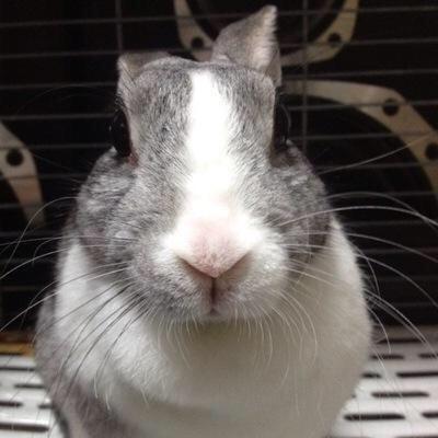お塩さんのプロフィール画像