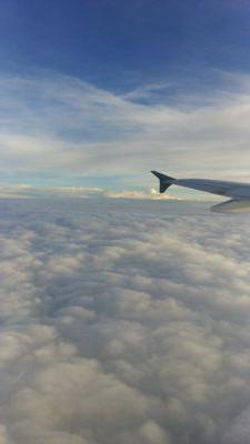 moig405's profile picture. 