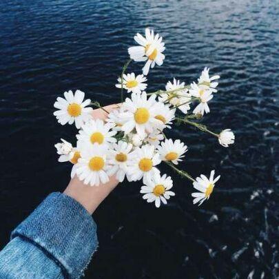 LStarodubczewa's profile picture. 