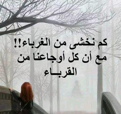 wtcWeNIdDppsVA4's profile picture. 