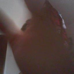 Posteja's profile picture. 