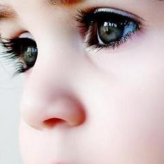 harishamanikan1's profile picture. 