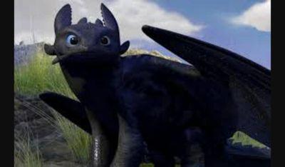 Hi Names Selena..yes I am a night fury..The holy offspring of lightning and death itself..rider is @mlp_Rain_Star