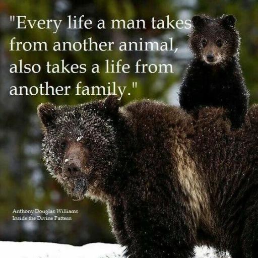 Every life A man takes from another animal, also takes a life from another family - A D Williams