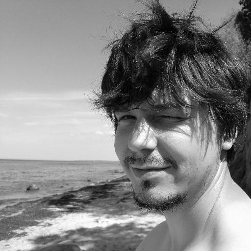 GMBoch11's profile picture. father and software dev // javascript, typescript, python, clojure // make it red, then make it green