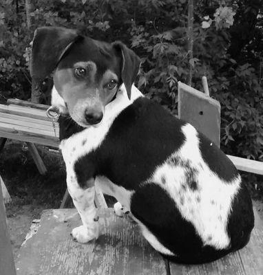 Sandi_Mullen's profile picture. 